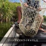 ブラックバス釣行　印旛沼　2025年8月31日