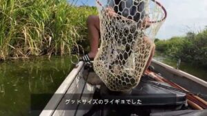 ブラックバス釣行 印旛沼 2025年8月31日