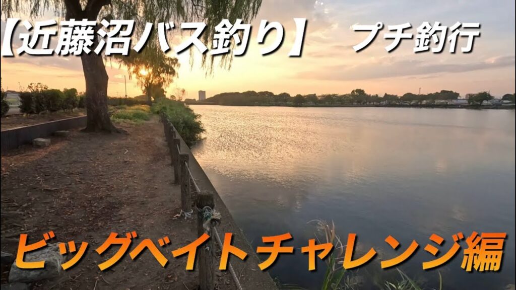 2025年9月初旬　近藤沼バス釣り　プチ釣行　ビッグベイトチャレンジ編どうぞ〜！