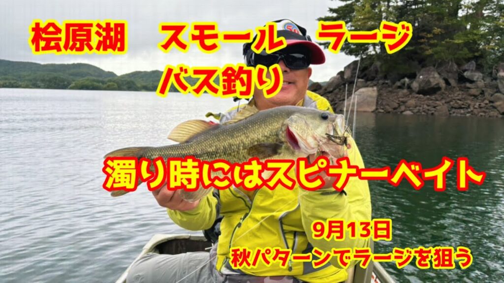 2025年9月13日　桧原湖　スモール　ラージ　バス釣り　スピナーベイトでリアクションバイトを狙う