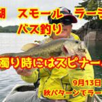 2025年9月13日　桧原湖　スモール　ラージ　バス釣り　スピナーベイトでリアクションバイトを狙う