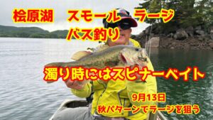 2025年9月13日 桧原湖 スモール ラージ バス釣り スピナーベイトでリアクションバイトを狙う