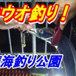 太刀魚釣り！須磨海釣り公園（神戸）太刀魚テンヤ釣り・ワインド釣り2025年9月13日#太刀魚#釣り#神戸