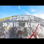 2025年9月6日　神通川　鮎釣り