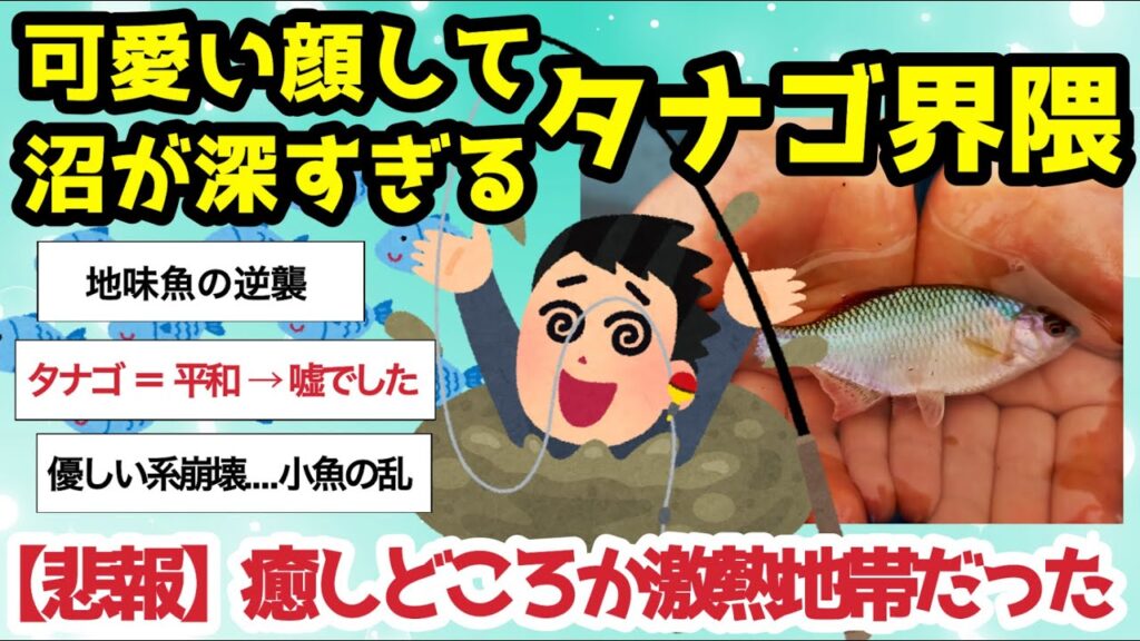 【2ch釣りスレ】沼が深すぎるタナゴ界隈【地味魚の逆襲！】癒しどころか激熱地帯【ガチ勢と沼人でカオス】タナゴ釣り＝平和？ →嘘でした【魚釣りゆっくり解説】
