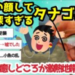 【2ch釣りスレ】沼が深すぎるタナゴ界隈【地味魚の逆襲！】癒しどころか激熱地帯【ガチ勢と沼人でカオス】タナゴ釣り＝平和？ →嘘でした【魚釣りゆっくり解説】