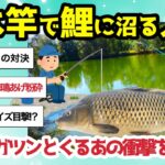 【2ch釣りスレ】のべ竿で鯉釣りに沼る人々【強烈な引きが忘れられない】一本の竿で戦うロマン【緊張感と達成感】一度ハマると抜け出せない【魚釣りゆっくり解説】