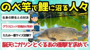 【2ch釣りスレ】のべ竿で鯉釣りに沼る人々【強烈な引きが忘れられない】一本の竿で戦うロマン【緊張感と達成感】一度ハマると抜け出せない【魚釣りゆっくり解説】