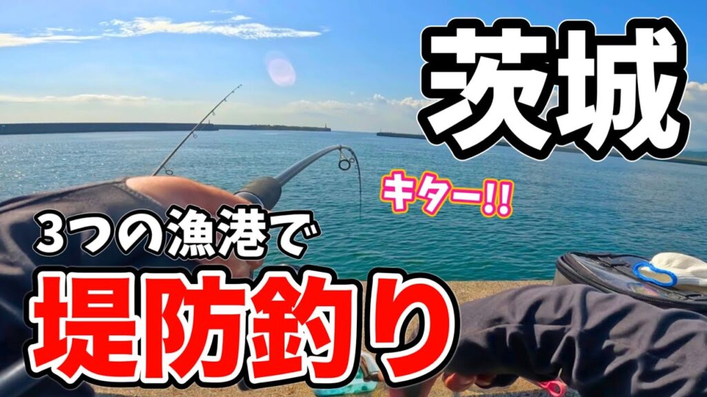 茨城県にある3つの漁港で秋の堤防釣り調査してみたら楽しすぎた！