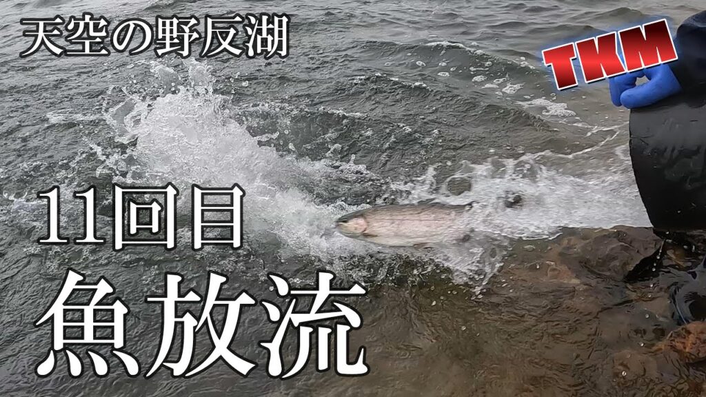 【天空の野反湖】約3週間ぶりに魚放流がありました🎣