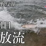 【天空の野反湖】約3週間ぶりに魚放流がありました🎣