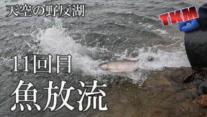 【天空の野反湖】約3週間ぶりに魚放流がありました🎣