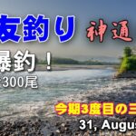 鮎友釣り　神通川編  31, August, 2025