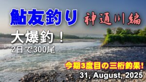 鮎友釣り　神通川編  31, August, 2025