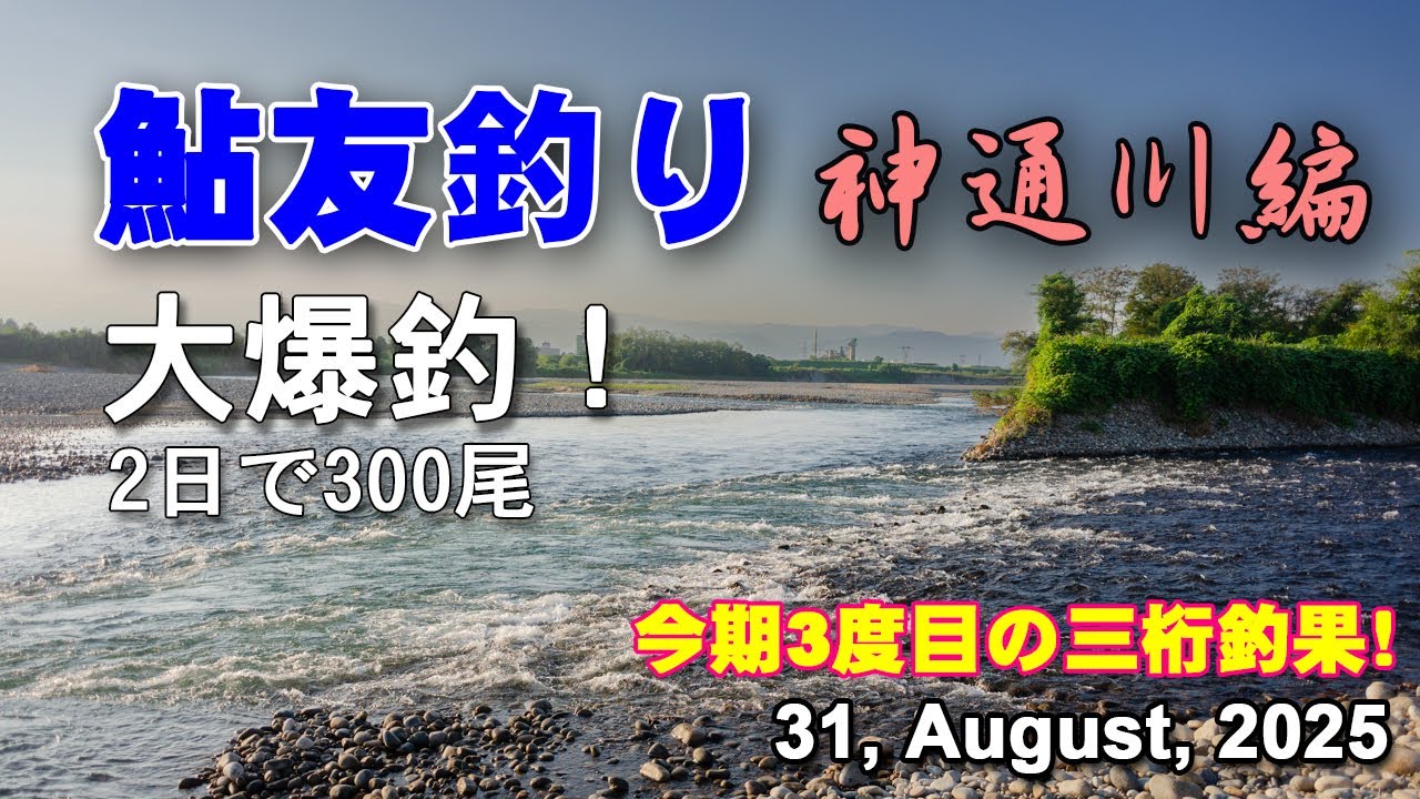 鮎友釣り 神通川編 31, August, 2025