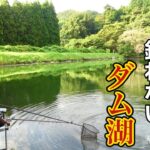 底釣り専用のダム湖でへらぶな釣りしたら40上しか釣れなかった！！【栗谷沢ダム】