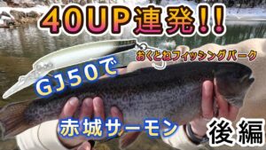 【40UP連発】お刺身が釣りやすい管理釣り場ってここじゃない?後編【おくとねフィッシングパーク】 お刺身3匹確保!GJ50 フローティング釣法