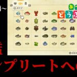 【あつまれどうぶつの森】海釣り編！今時期に釣れる魚全部釣ってやるぞ...！！　 5釣り目
