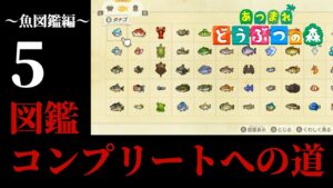 【あつまれどうぶつの森】海釣り編！今時期に釣れる魚全部釣ってやるぞ...！！　 5釣り目
