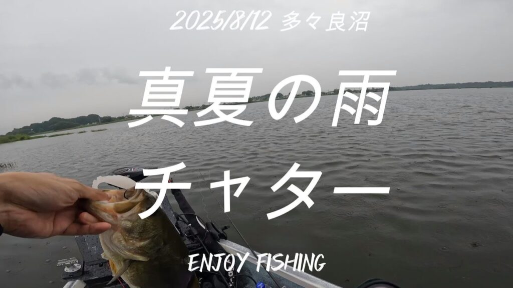 【8月バス釣り】真夏×雨の群馬県多々良沼釣行動画です。