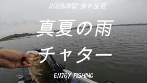 【8月バス釣り】真夏×雨の群馬県多々良沼釣行動画です。
