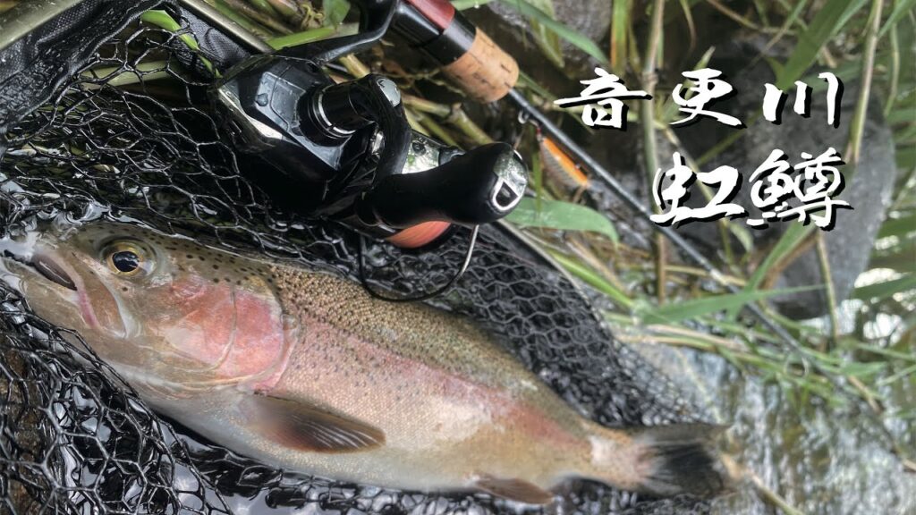 【釣行記録】8月半ば頃の音更川渓流釣り