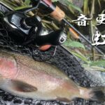 【釣行記録】8月半ば頃の音更川渓流釣り