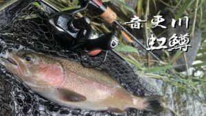 【釣行記録】8月半ば頃の音更川渓流釣り