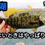 【桧原湖バス釣り】釣れないときはやっぱりコレ！【9月中旬】