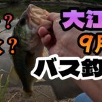 【バス釣り】9月の大江川！夏か秋か？！結局は◯◯◯で釣れた！