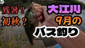 【バス釣り】9月の大江川！夏か秋か？！結局は◯◯◯で釣れた！