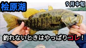 【桧原湖バス釣り】釣れないときはやっぱりコレ！【9月中旬】
