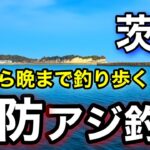 【茨城釣り】9月の漁港を良型アジ狙いに朝から晩まで釣り歩いたら..2025.9