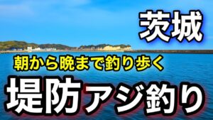 【茨城釣り】9月の漁港を良型アジ狙いに朝から晩まで釣り歩いたら..2025.9