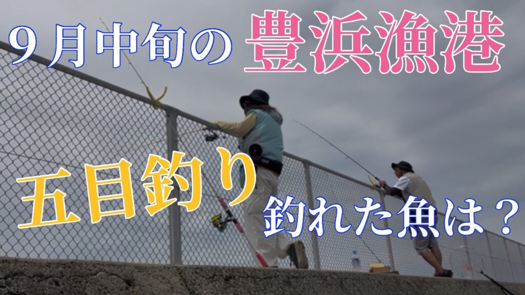 9月中旬の豊浜漁港で五目釣り！どこの釣り場も大混雑！2025.09.14