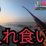 遠州灘サーフでDジグ使って釣りしたら…