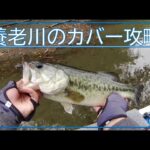 D-JIGcover＆エビソンを躍らせる。#高滝湖 #バス釣り #ディスタイル #バスフィッシング