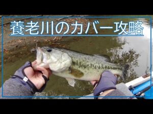 D-JIGcover&エビソンを躍らせる。#高滝湖 #バス釣り #ディスタイル #バスフィッシング