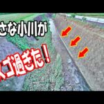 小さな川で挑戦！思わぬ展開のうなぎ釣り　｜　Eel Fishing Challenge in a Small Stream! An Unexpected Turn of Events