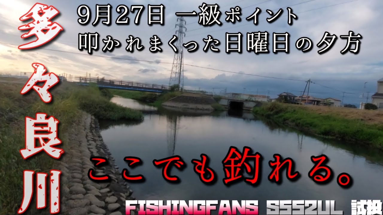 【バス釣り】多々良沼水系『多々良川』ハイプレッシャーポイントでFISHING FANG S552ul 試投 次回こそはエリアトラウトで使いたいw #多々良沼 #バス釣り #アリエクスプレス