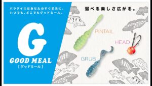 【海釣り】GOODMEALシリーズにピンテールとグラブが登場 / 水野浩聡 石川文菜 ジャッカル