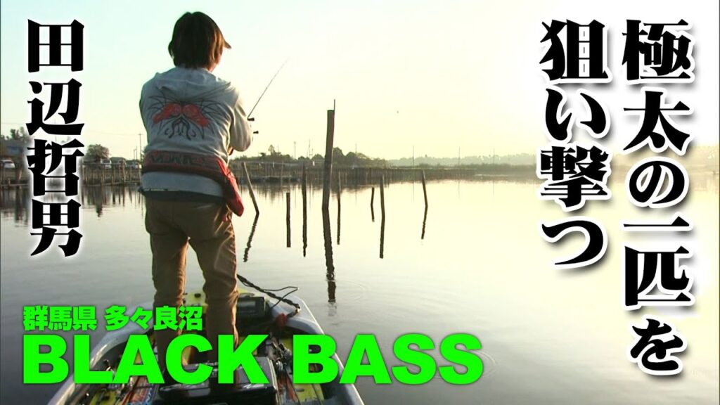 田辺哲男が秋の多々良沼でタタランバスとも称される極太の一匹を狙う 『Go for it！ 161』【釣りビジョン】