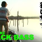 田辺哲男が秋の多々良沼でタタランバスとも称される極太の一匹を狙う 『Go for it！ 161』【釣りビジョン】