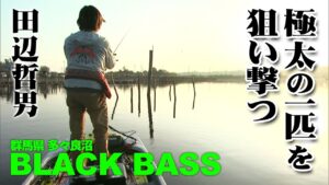 田辺哲男が秋の多々良沼でタタランバスとも称される極太の一匹を狙う 『Go for it！ 161』【釣りビジョン】