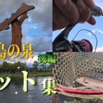 【関西】管理釣り場『高島の泉』Hit‼集　後編