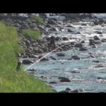 サーフィンや釣り中に…　海や川で水難事故相次ぐ【スーパーJチャンネル】(2025年8月30日)