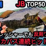 【桧原湖バス釣り】【JBトップ50Day3】ハイプレッシャーでも反則ワームでデカバスヒット！