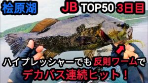 【桧原湖バス釣り】【JBトップ50Day3】ハイプレッシャーでも反則ワームでデカバスヒット！