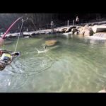 【大公開】人気爆発‼️大人気な管理釣り場【エリアトラウト】#Japanese rainbow trout#釣り#八丁堀