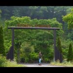 癒しの管理釣り場で、大物も釣れちゃう！那須白河フォレストスプリングスに行ってきました【那須白河フォレストスプリングス】【エリアトラウト】【４K】